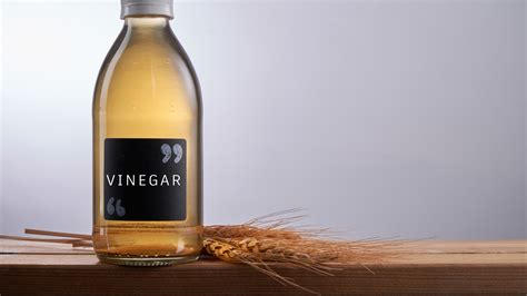 brown malt vinegar|recipes that use malt vinegar.